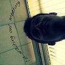 ���������� �������, ���� ������� Shamil, 29 ���, ������������ ��� ������, ����� � ���������, c�������� ���������