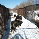 ���������� ������, ���� ������� ������, 43 ����, ������������ ��� ����� � ���������, c�������� ���������