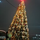 ���������� ������-��-����, ���� ������� ��������, 29 ���, ������������ ��� ������, ����� � ���������, c�������� ���������