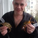 ���������� �������, ���� ������� ����, 44 ����, ������������ ��� ������, ����� � ���������, c�������� ���������, ���������