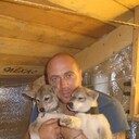 ���������� ������, ���� ������� ������, 45 ���, ������������ ��� ������, ����� � ���������, c�������� ���������