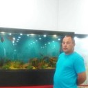 ���������� ��������, ���� ������� �������, 42 ����, ������������ ��� ������, ����� � ���������, c�������� ���������