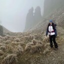 ���������� ���������, ���� ������� �������, 29 ���, ������������ ��� ������, ����� � ���������, c�������� ���������, ���������