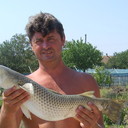 ���������� ������, ���� ������� ������, 50 ���, ������������ ��� ����� � ���������, c�������� ���������