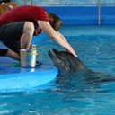  ,   , 44 ,   ,   , c 