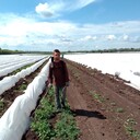 ���������� ��������, ���� ������� ������, 32 ����, ������������ ��� ������, ����� � ���������, c�������� ���������