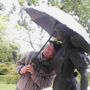 ���������� ����-���������, ���� ������� ����, 44 ����, ������������ ��� ����� � ���������, c�������� ���������