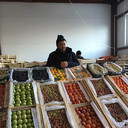  ,   , 53 ,   ,   , c 