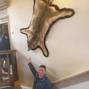 ���������� ������, ���� ������� �������, 46 ���, ������������ ��� ����� � ���������, c�������� ���������