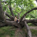 ���������� ������, ���� ������� ���, 32 ����, ������������ ��� ������, ����� � ���������