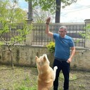 ���������� ����������, ���� ������� LORENZO, 51 ���, ������������ ��� ����� � ���������, c�������� ���������, ���������