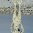 ���������� ������, ���� ������� �����, 46 ���, ������������ ��� ����� � ���������, c�������� ���������