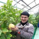  ,   , 50 ,   ,   , c 