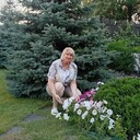 ���������� ������, ���� ������� ��������, 50 ���, ������������ ��� ������, ����� � ���������, c�������� ���������