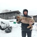 ���������� ������, ���� ������� �����, 41 ���, ������������ ��� ������, ����� � ���������, c�������� ���������