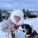 ���������� ������, ���� ������� ����, 55 ���, ������������ ��� ������, ����� � ���������