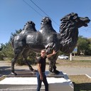 ���������� ����������, ���� ������� ���������, 38 ���, ������������ ��� ������, ����� � ���������, c�������� ���������