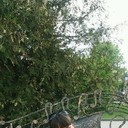 ���������� ������, ���� ������� ������, 34 ����, ������������ ��� ������, ����� � ���������, c�������� ���������