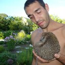 ���������� ������, ���� ������� �����, 39 ���, ������������ ��� ������, ����� � ���������