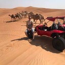 ���������� ������, ���� ������� ���������, 35 ���, ������������ ��� ������, ����� � ���������