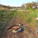 ���������� ������ ���, ���� ������� �������, 34 ����, ������������ ��� ������