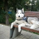 ���������� ������, ���� ������� �������, 37 ���, ������������ ��� c�������� ���������