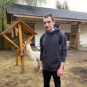 ���������� ������, ���� ������� �������, 27 ���, ������������ ��� ������, ����� � ���������, c�������� ���������, ���������