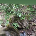 ���������� �������, ���� ����� Mihai, 23 ����, ������������ ��� ������, ����� � ���������