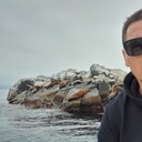 ���������� ���������, ���� ������� ����, 46 ���, ������������ ��� c�������� ���������