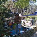  ,   , 52 ,   
