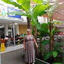  ,   , 72 ,     , c , 