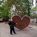 ���������� ������, ���� ������� �������, 46 ���, ������������ ��� ������, ���������