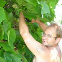 ���������� �����, ���� ������� �������, 50 ���, ������������ ��� ����� � ���������, c�������� ���������