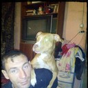  ,   , 46 ,   
