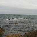 ���������� �����������, ���� ������� ����, 36 ���, ������������ ��� ������, ����� � ���������, c�������� ���������