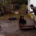 ���������� ����, ���� ������� ����, 34 ����, ������������ ��� ������, ����� � ���������, c�������� ���������