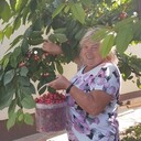  ,   , 65 ,   ,   
