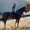 ���������� �������, ���� ������� �����, 28 ���, ������������ ��� ������, ����� � ���������