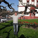 ���������� ������, ���� ������� ����, 40 ���, ������������ ��� ������