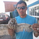 ���������� ������, ���� ������� ART�CT, 35 ���, ������������ 