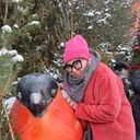 ���������� ������, ���� ������� ������, 45 ���, ������������ 