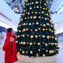 ���������� ���������, ���� ������� Bek, 28 ���, ������������ ��� ������, ����� � ���������, c�������� ���������