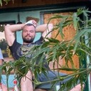 ���������� ������, ���� ������� ����, 40 ���, ������������ ��� ������, ����� � ���������, c�������� ���������