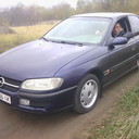  ,   Serega, 41 ,   ,   , c 