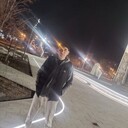 ���������� ������, ���� ������� ���������, 27 ���, ������������ ��� ������, ����� � ���������