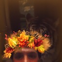 ���������� ����������, ���� ������� �����, 49 ���, ������������ ��� ������, ����� � ���������, c�������� ���������