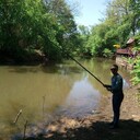 ���������� ������������, ���� ������� �����, 36 ���, ������������ ��� ������, ����� � ���������, c�������� ���������, ���������