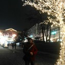 ���������� ������, ���� ������� 9251818143, 44 ����, ������������ ��� ����� � ���������, c�������� ���������