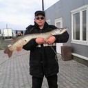 ���������� �����������, ���� ������� �������, 50 ���, ������������ ��� ������, ����� � ���������, c�������� ���������