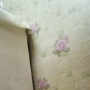 ���������� ���������, ���� ������� ������, 46 ���, ������������ ��� ������, ����� � ���������